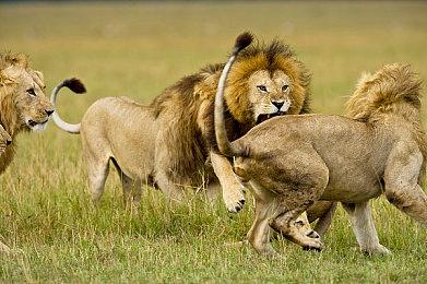 街机游戏《赛博朋克2077：地盘战争》公布 你想玩吗？