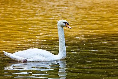 《Apex 2.0》要来！EA打算推出更大更有意义的更新